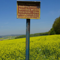 Standort Riepenburg Schild Wanderweg Riepenburg