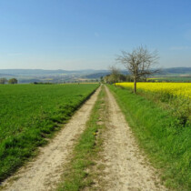 Der E1 vor Dehrenberg Wanderweg E1 Dehrenberg