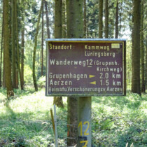 Vom Weg abgekommen - Kammweg Lüningsberg Kammweg Lüningsberg