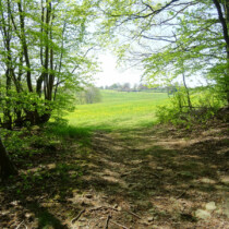 Durch Wald und Feld Durch Wald und Feld