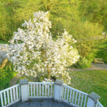 Blick aus dem Zimmer im Forellenhof Blick aus dem Zimmer im Forellenhof